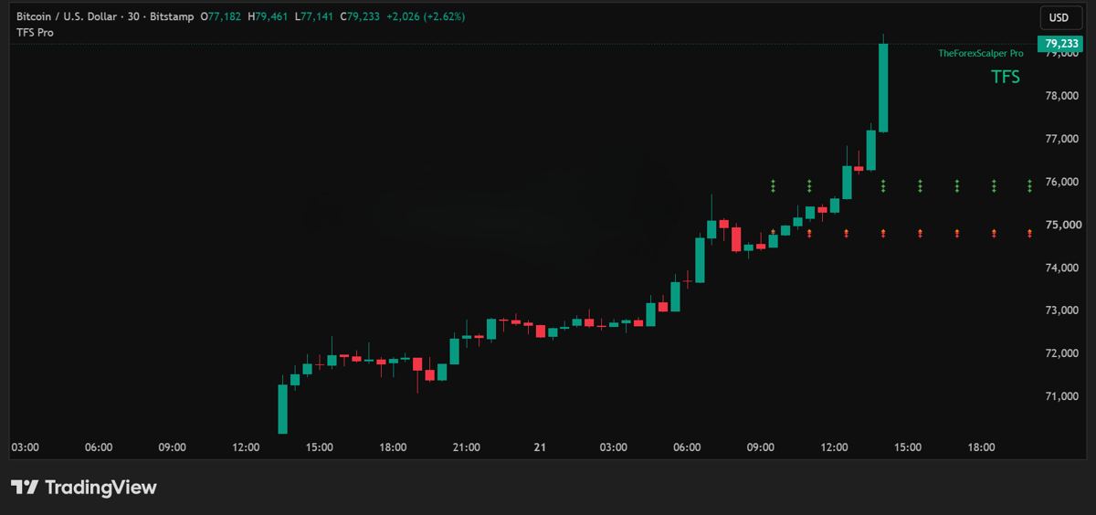 Bitcoin (BTCUSD) 30m · long setup chart with TFS Pro rows